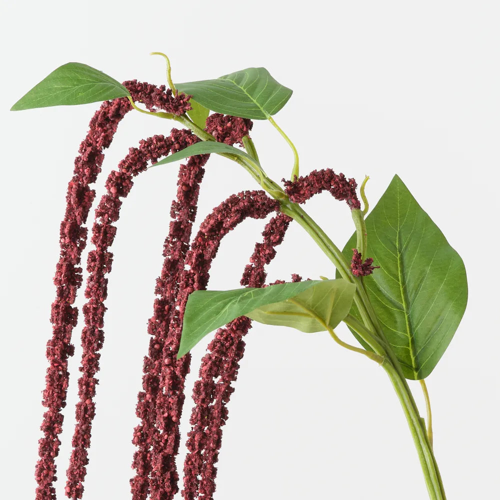 Amaranthus Spray - Burgundy