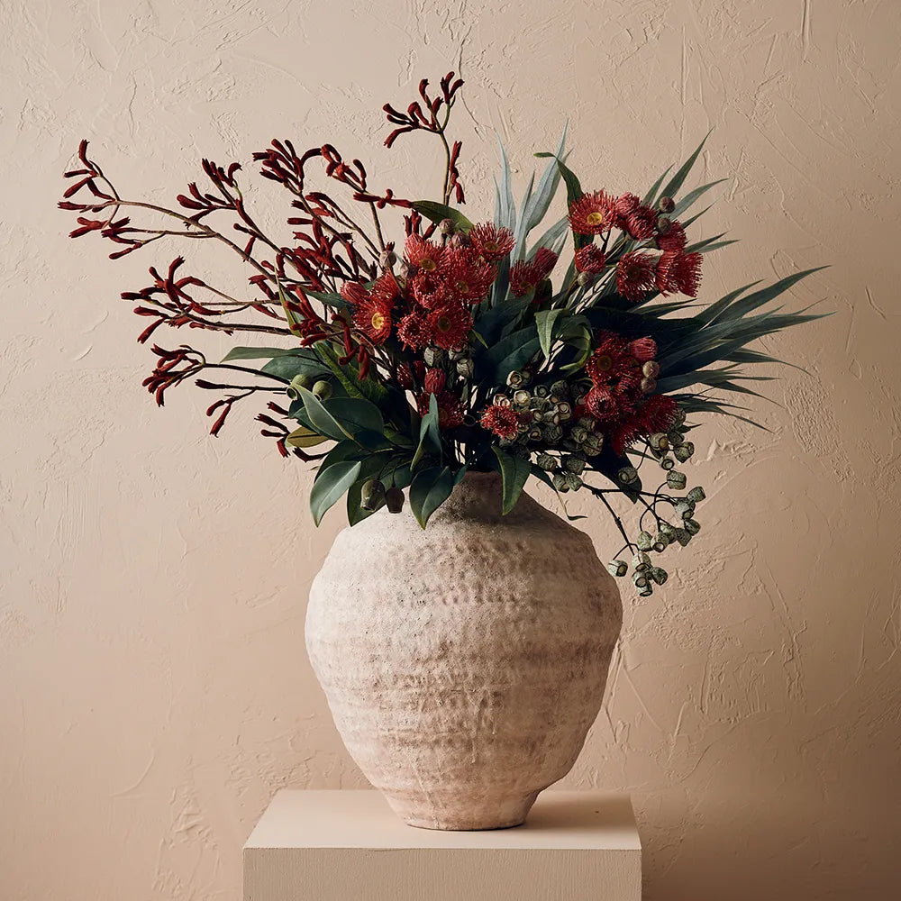 Kangaroo Paw