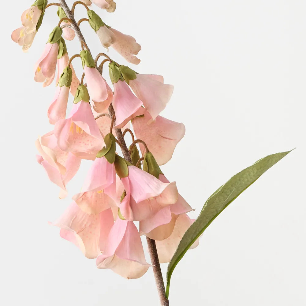 Foxglove - Soft Pink - 63cm