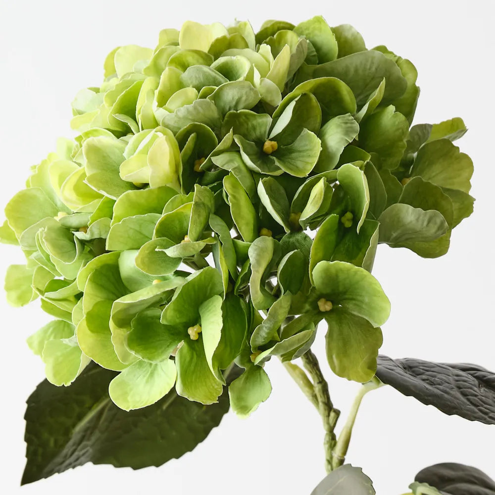 Hydrangea - Green - 66 cm