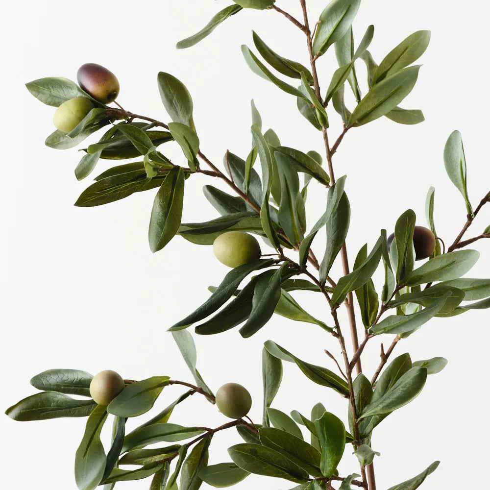 Olive Leaf Spray - Green Burgundy - 96cm