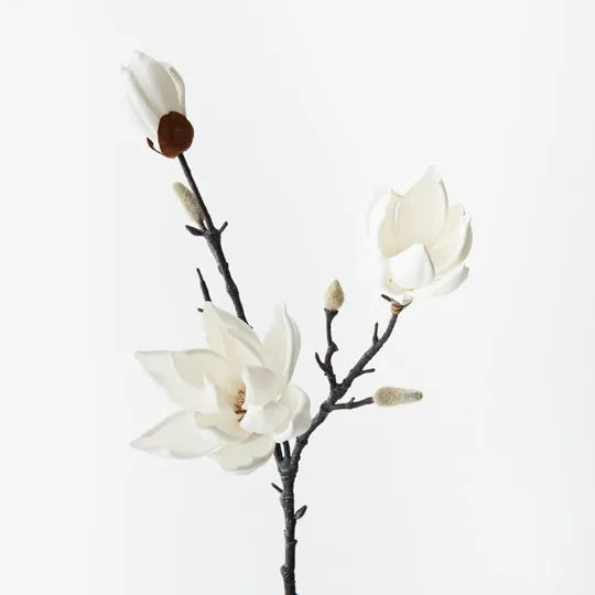 Magnolia Japanese Spray