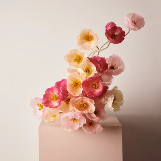 Poppy Iceland Peach - Single