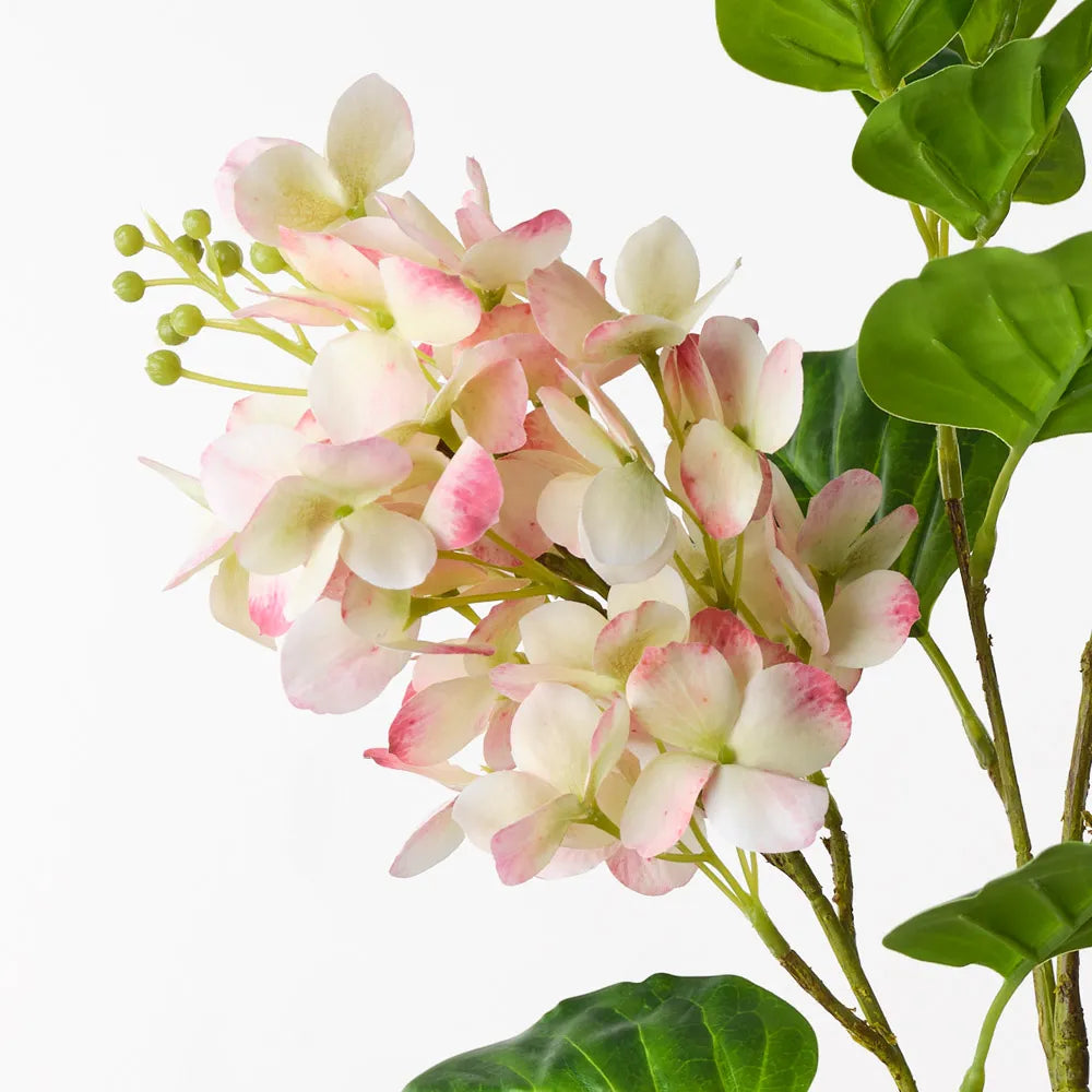 Hydrangea Spray - Green/Pink