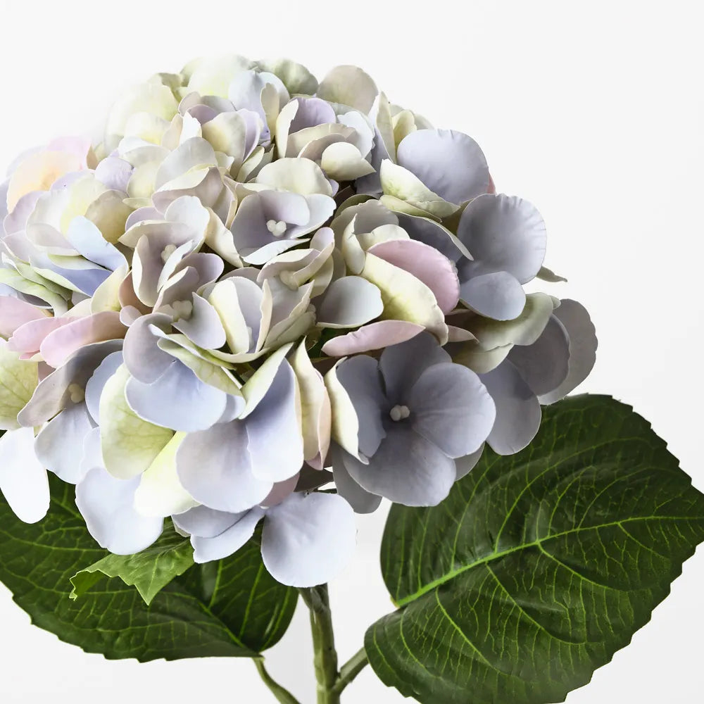 Hydrangea - Lavender 60cml