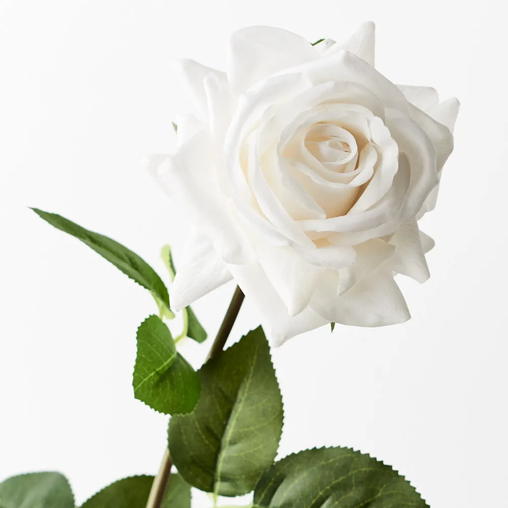 Rose Hannah Winter White