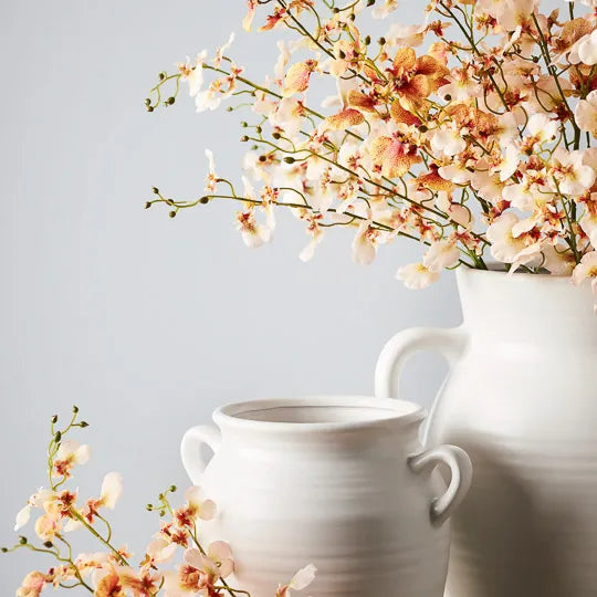 Orchid Dancing Cream