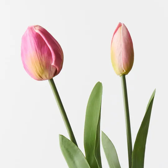 Tulip Bud & Bloom - Fuschia Set/2