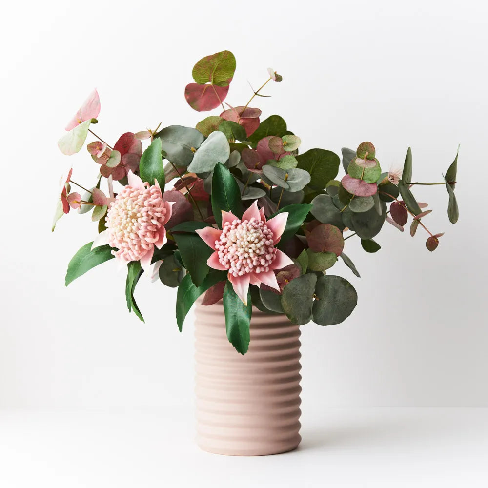 Eucalyptus Flowering Spinning Gum Bush