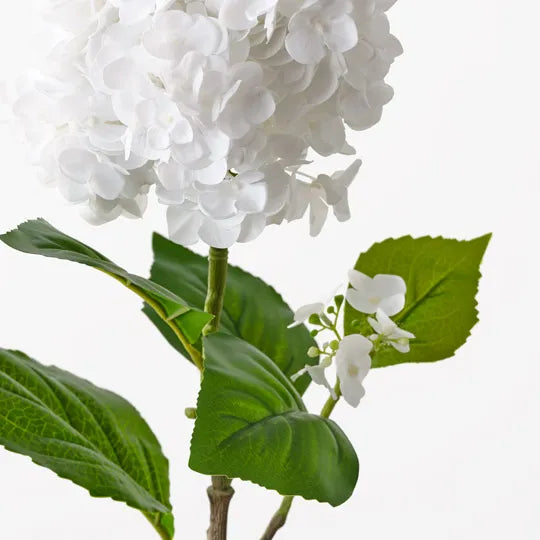 Hydrangea Cone Spray - White