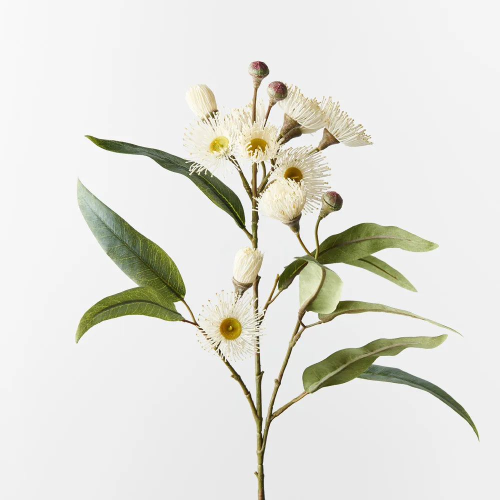 Eucalyptus Flowering Spray - White