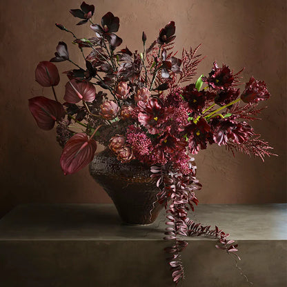 Parrot Tulip - Burgundy - 70cm
