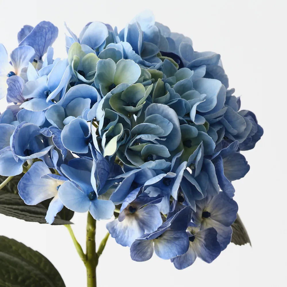 Hydrangea - Light Blue - 66cml