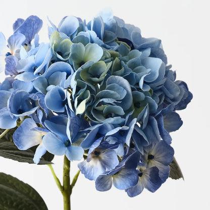 Hydrangea - Light Blue - 66cml