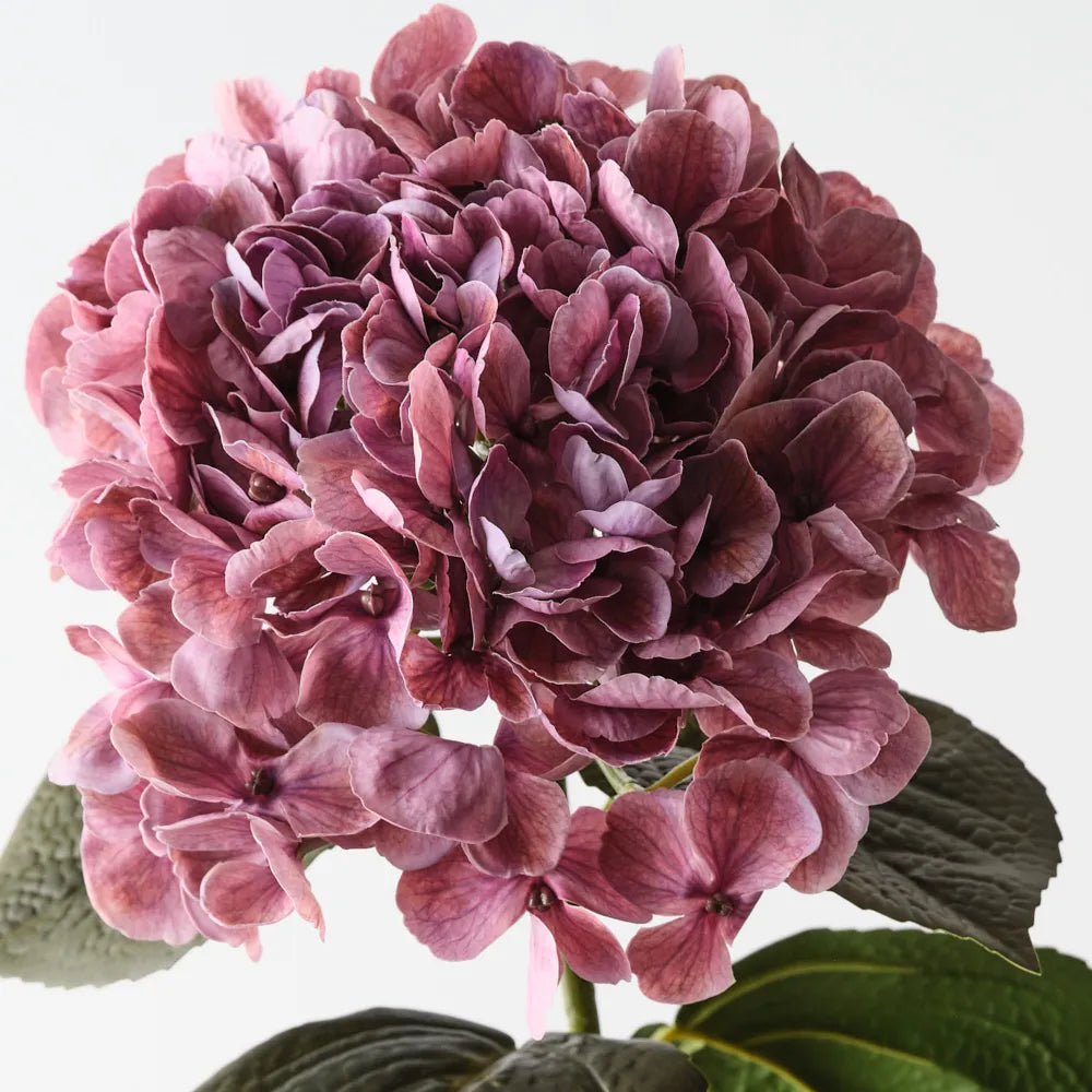 Hydrangea 66 cm - Mauve