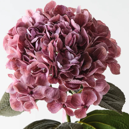 Hydrangea 66 cm - Mauve
