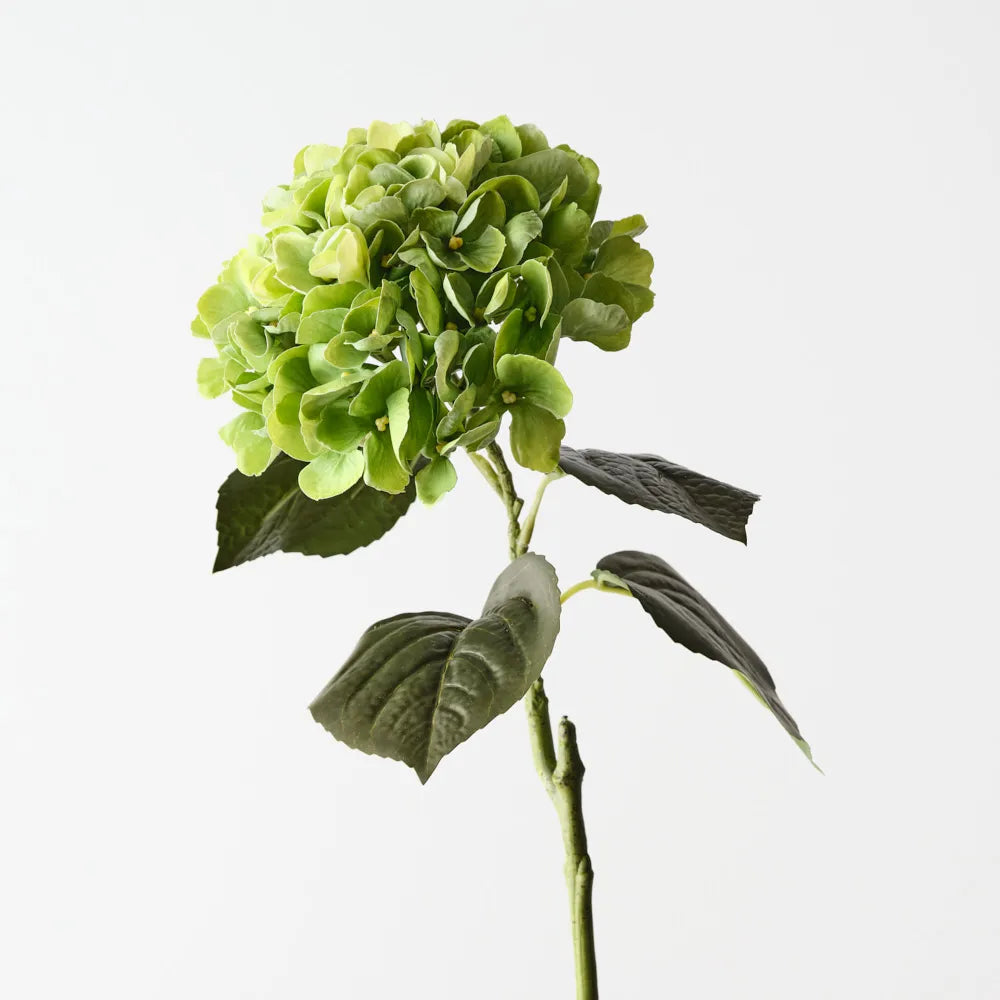 Hydrangea - Green - 66 cm