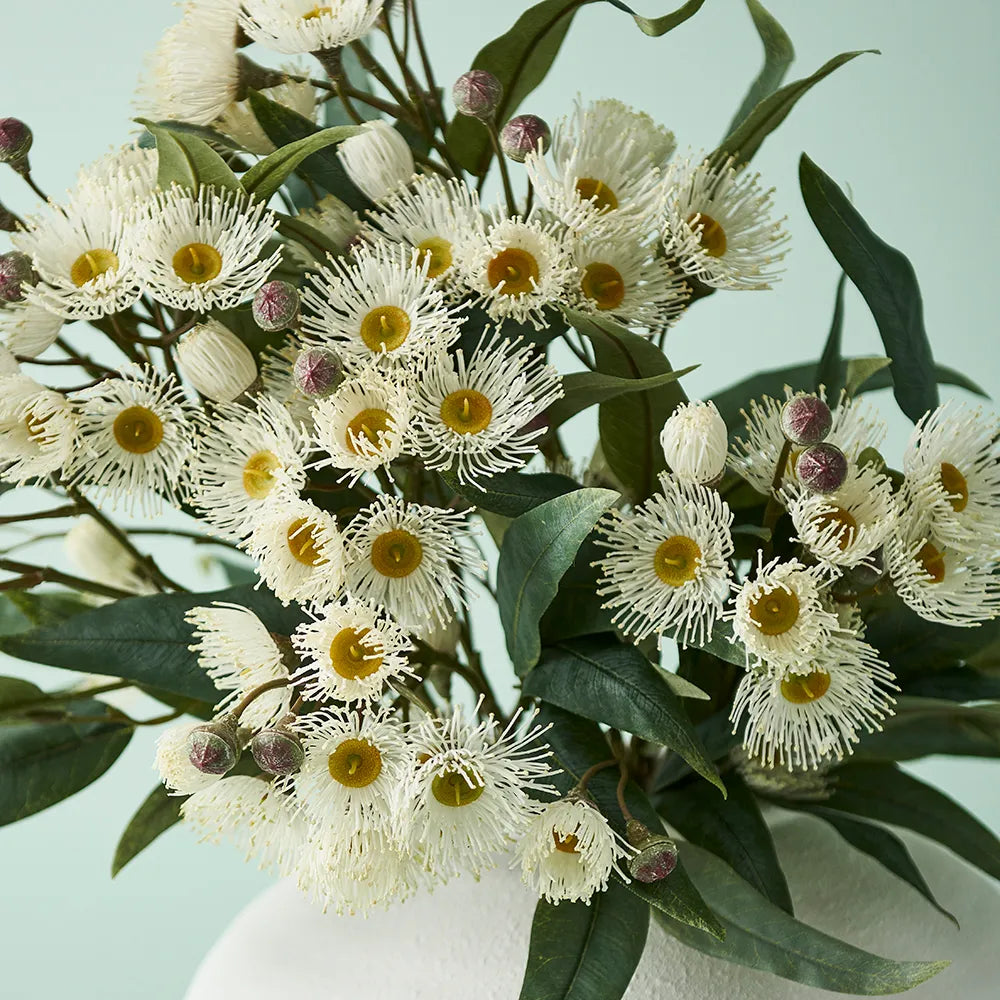 Eucalyptus Flowering Spray - White