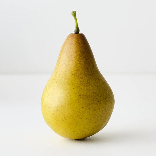 Pear Bartlett - green - 11cml