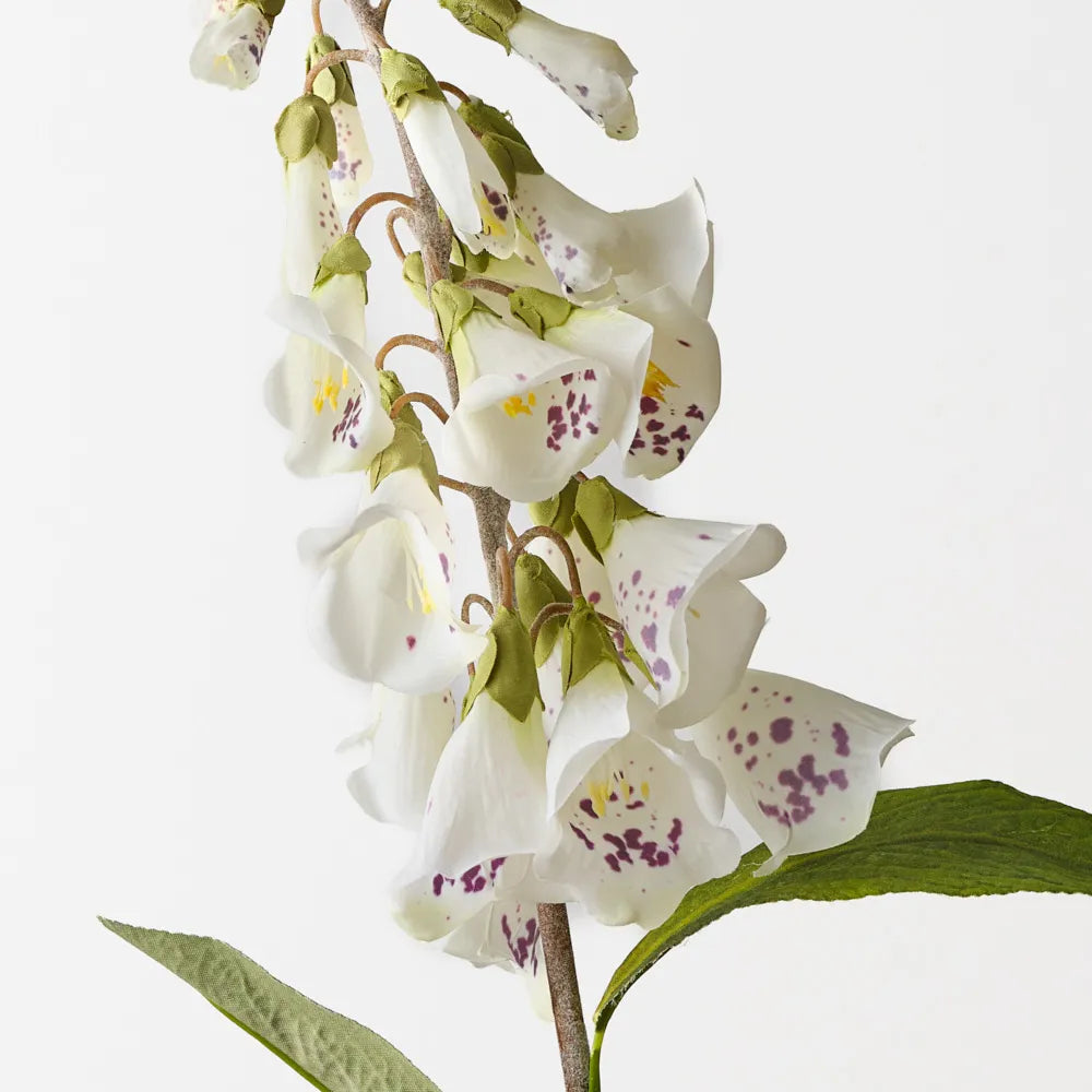 Foxglove - White - 63cm