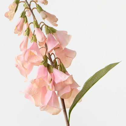 Foxglove - Soft Pink - 63cm