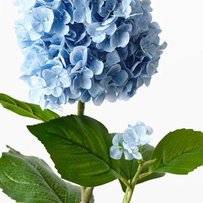 Hydrangea Cone Spray - Blue