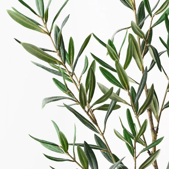 122cml Long Olive Leaf Spray - Grey Green