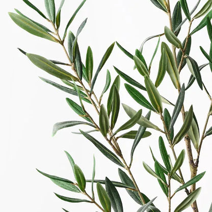 122cml Long Olive Leaf Spray - Grey Green