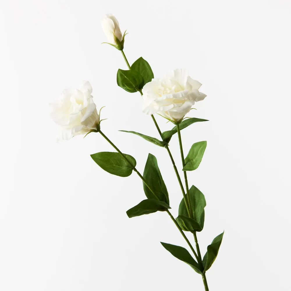 Lisianthus Stem - White
