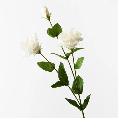 Lisianthus Stem - White