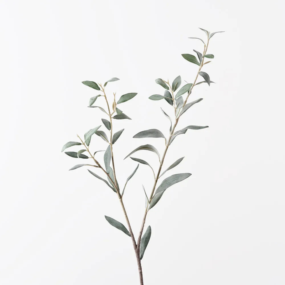 Short Olive Leaf Spray Grey Green