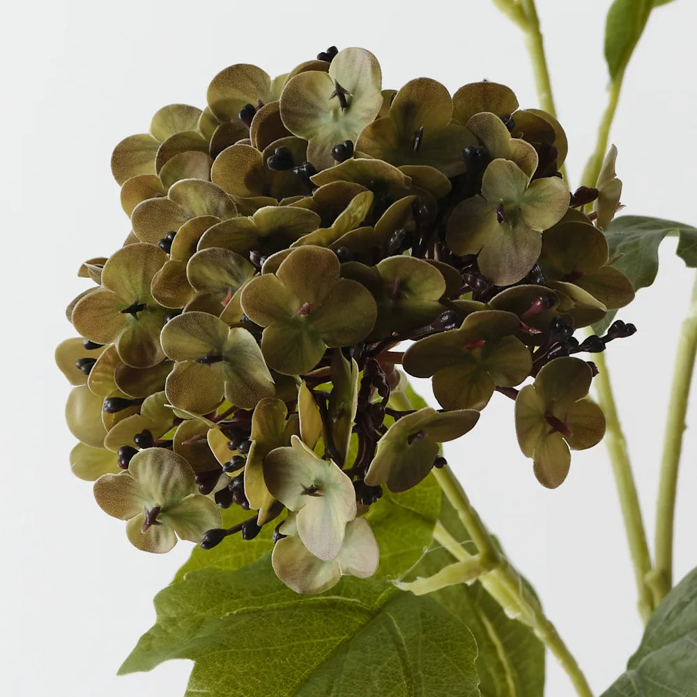 Hydrangea Spray - Olive