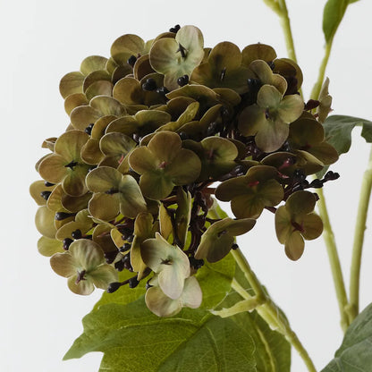 Hydrangea Spray - Olive