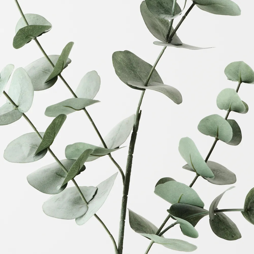 Silver Dollar Eucalyptus - Forest Green - 86cm