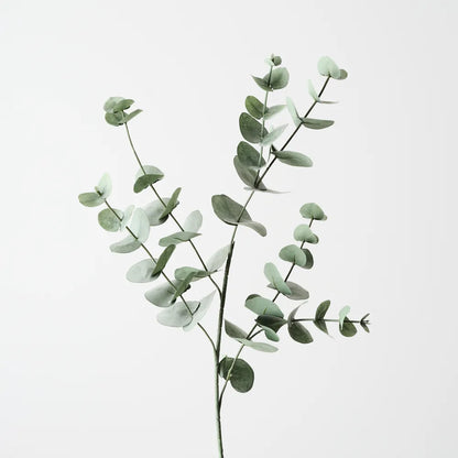 Silver Dollar Eucalyptus - Forest Green - 86cm