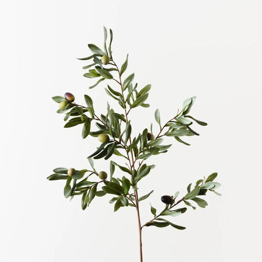 Olive Leaf Spray