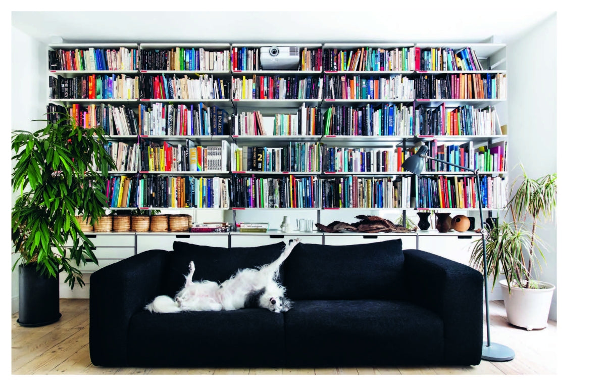 Resident Dog (Volume 2)