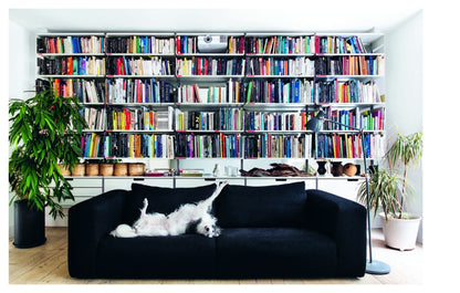 Resident Dog (Volume 2)