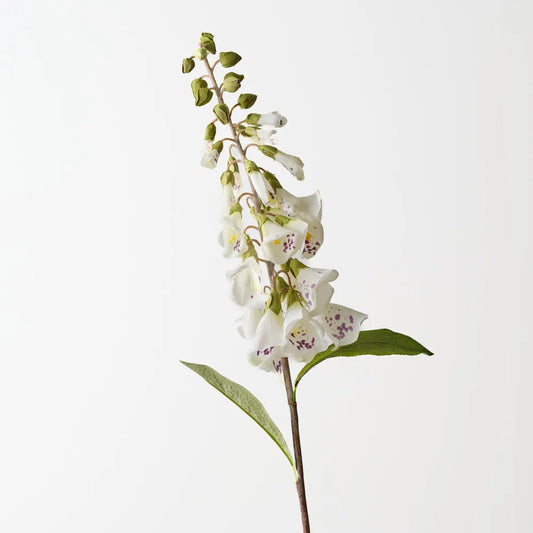 Foxglove - White - 63cm