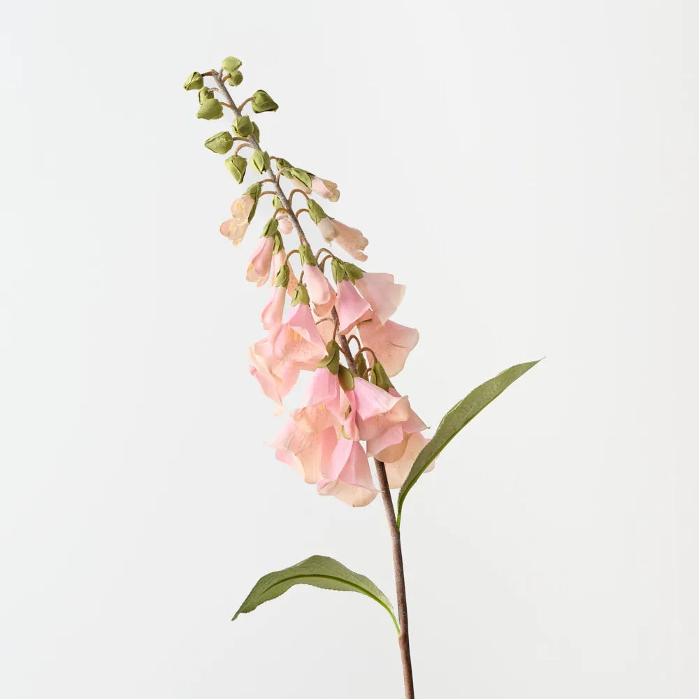 Foxglove - Soft Pink - 63cm