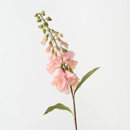 Foxglove - Soft Pink - 63cm