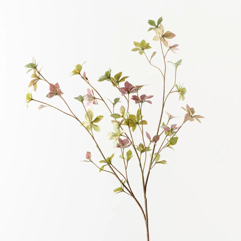 Enkianthus Leaf Spray - Green / Pink