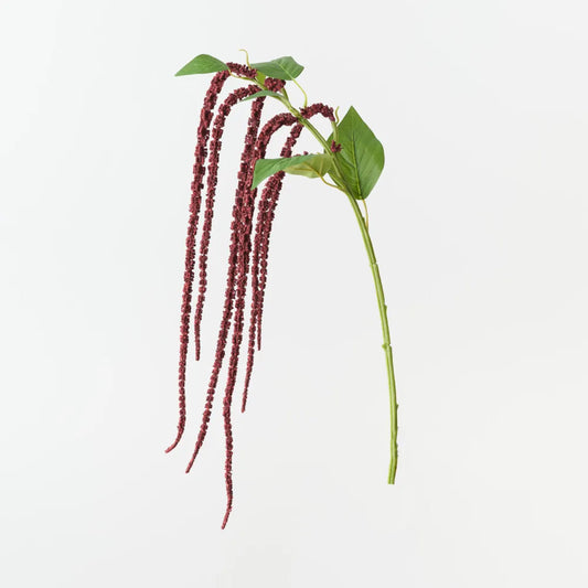 Amaranthus Spray - Burgundy