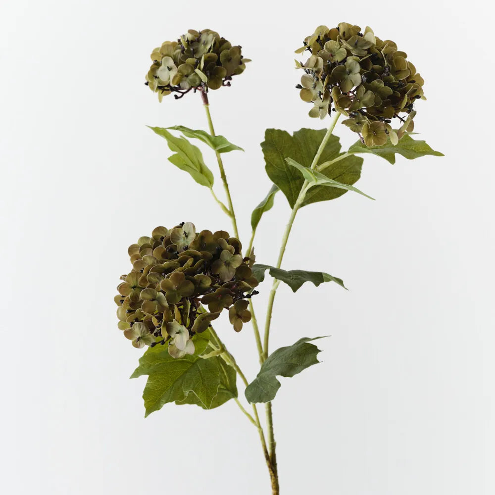 Hydrangea Spray - Olive