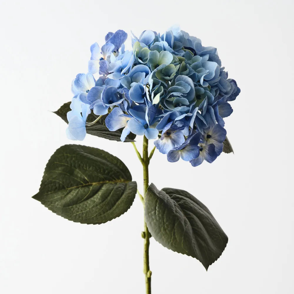 Hydrangea - Light Blue - 66cml