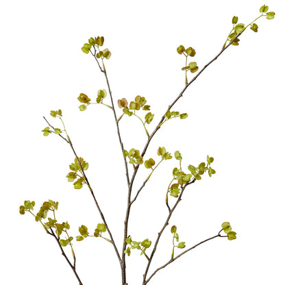 Elm Seeding Spray - Green - 30x25x107cm