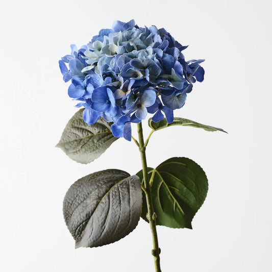 Hydrangea - Royal Blue - 66cml