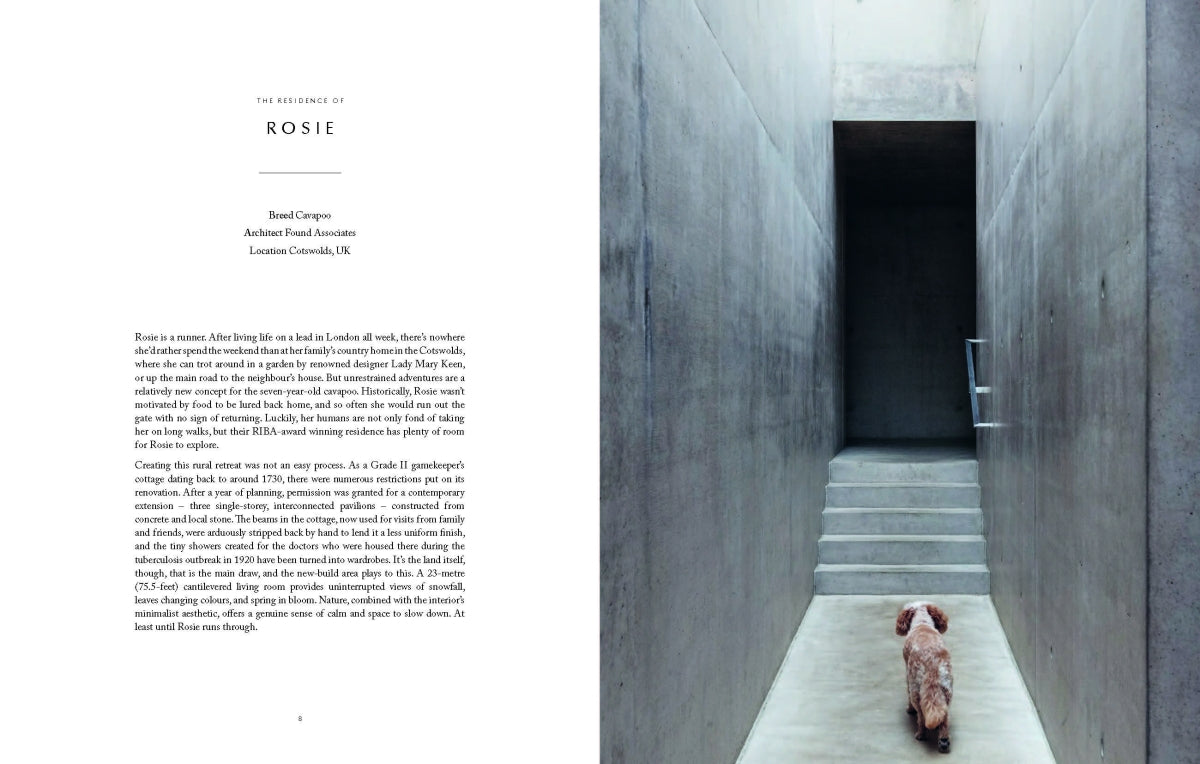 Resident Dog (Volume 2)