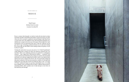 Resident Dog (Volume 2)