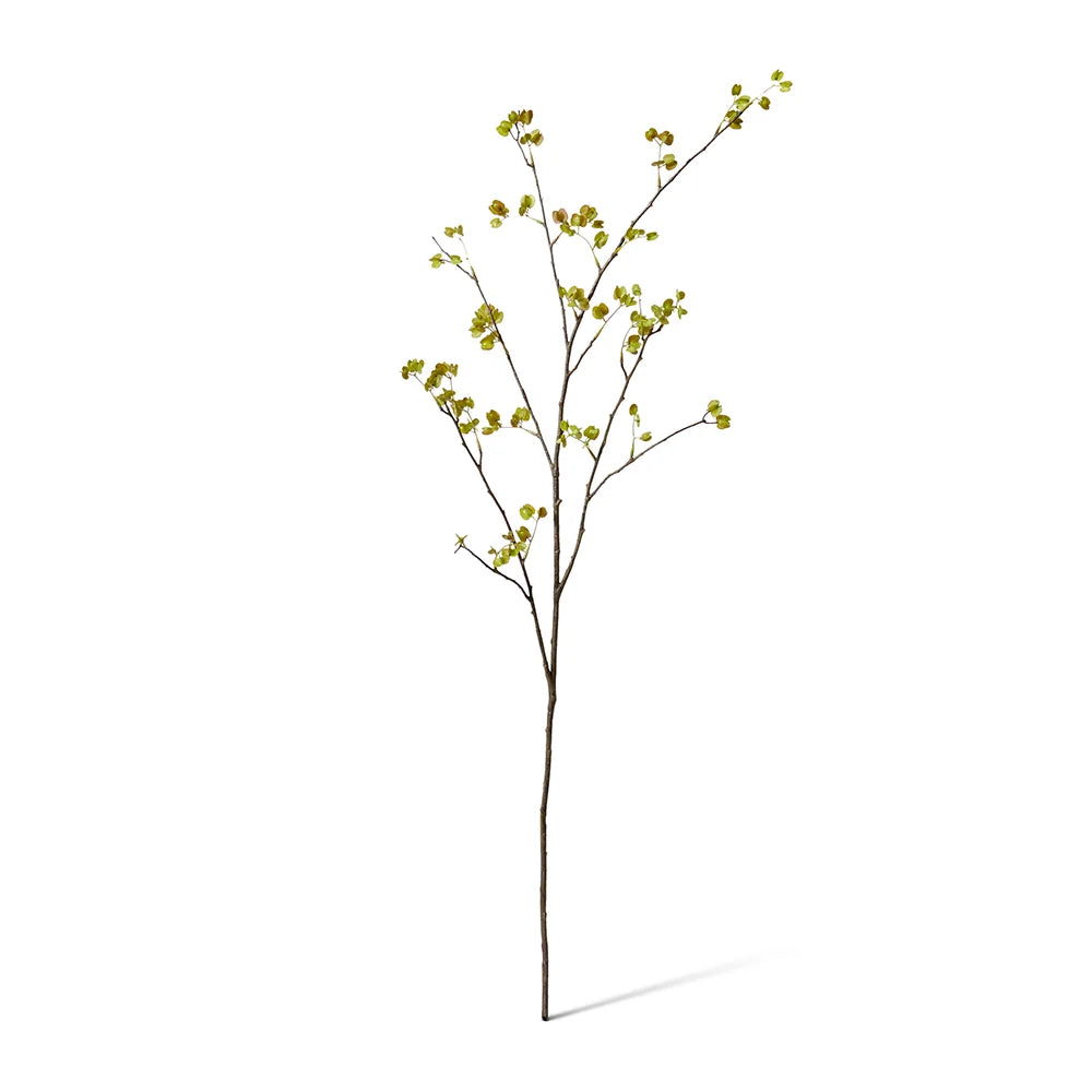 Elm Seeding Spray - Green - 30x25x107cm